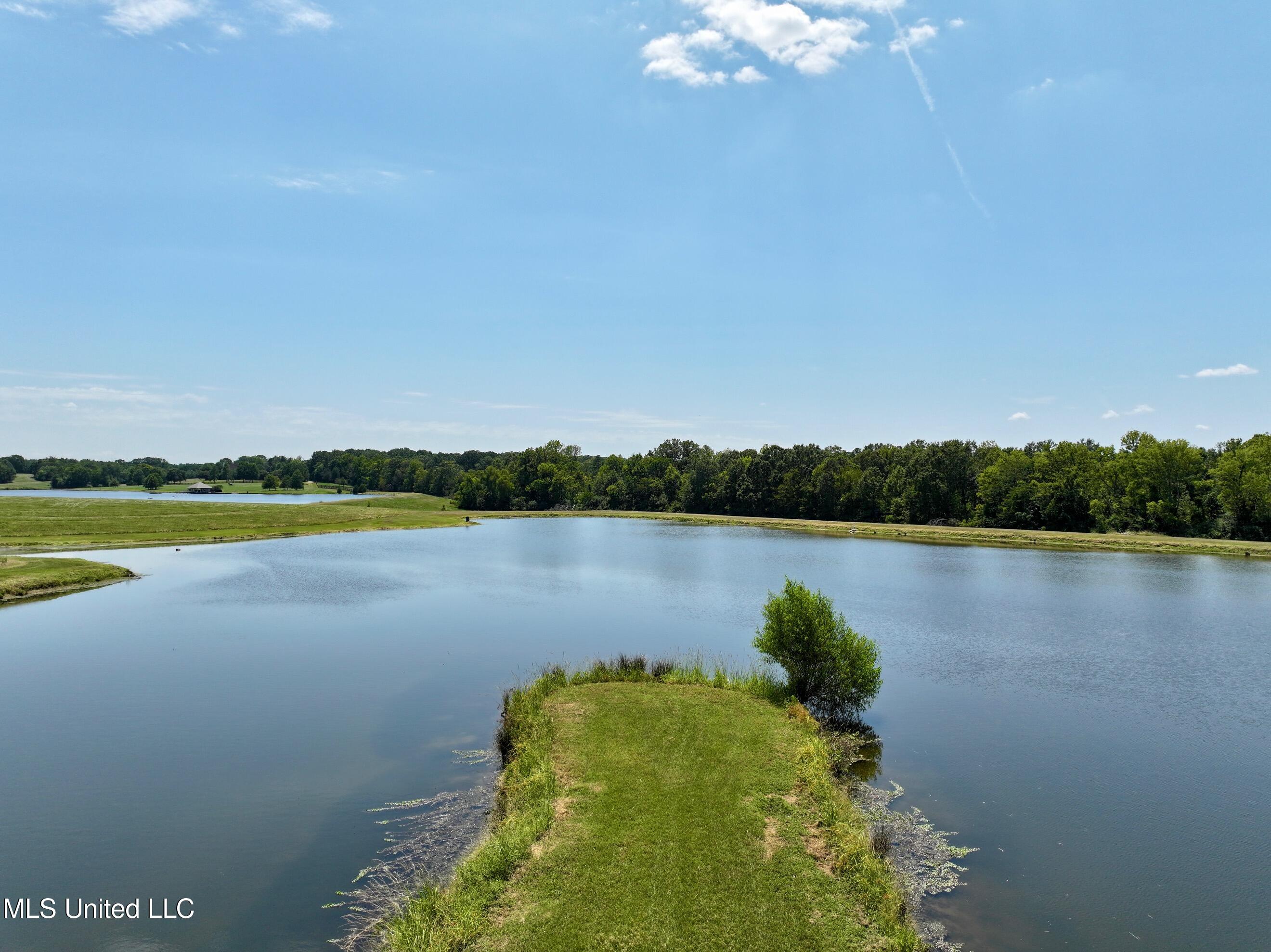 Cedar Hill Road Flora, MS 39071 - Photo 13 of 17 dji_fly_20240812_172240_0014_17234950424