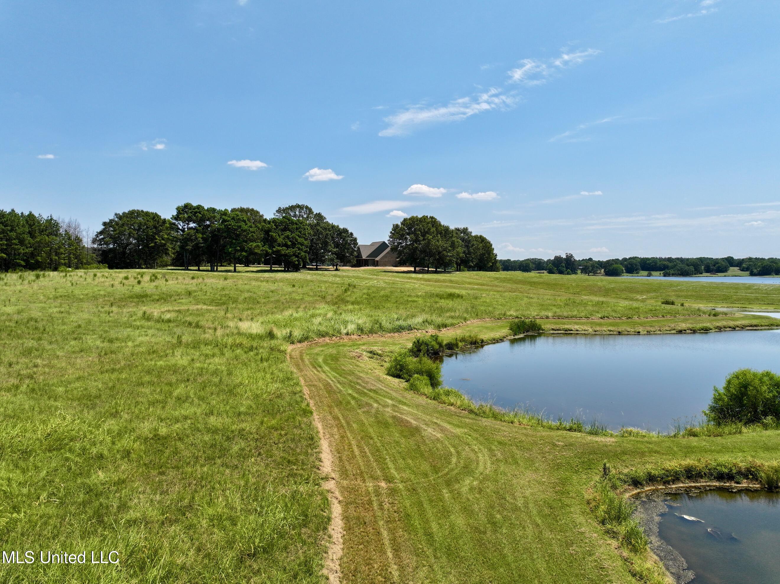 Cedar Hill Road Flora, MS 39071 - Photo 14 of 17 dji_fly_20240812_172332_0016_17234949657