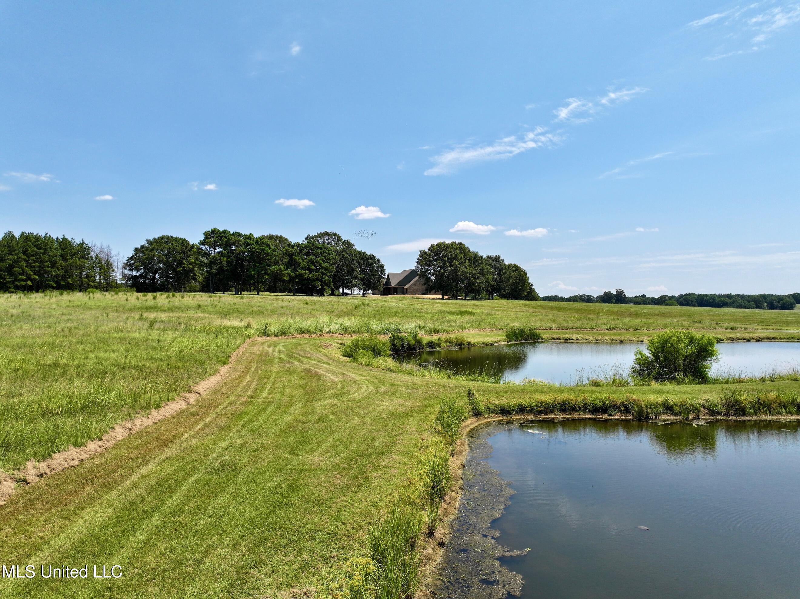 Cedar Hill Road Flora, MS 39071 - Photo 15 of 17 dji_fly_20240812_172346_0017_17234949580