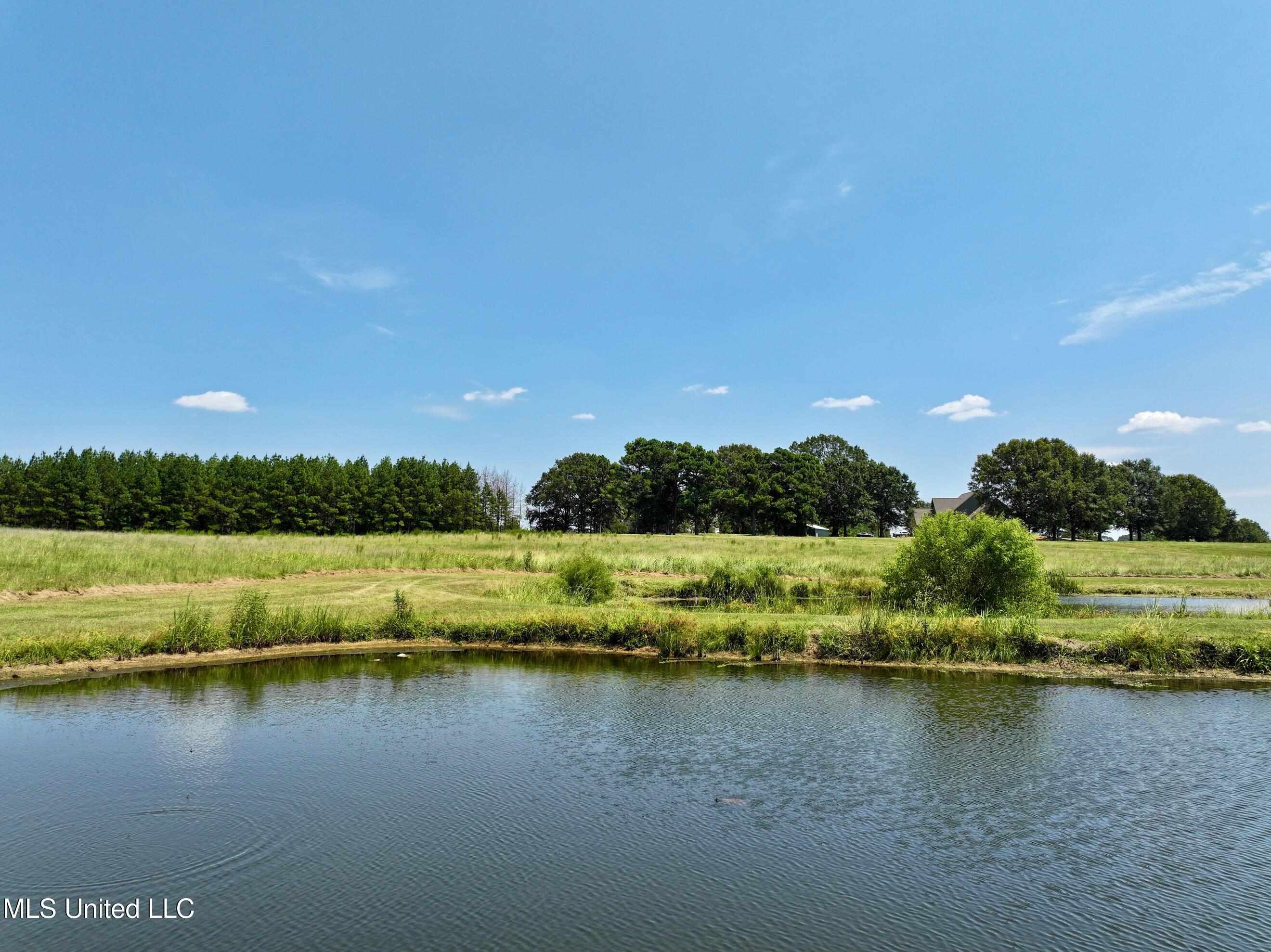 Cedar Hill Road Flora, MS 39071 - Photo 16 of 17 dji_fly_20240812_172422_0018_17234949553