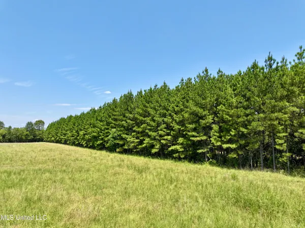 $229,000 | Cedar Hill Road, Flora, MS 39071