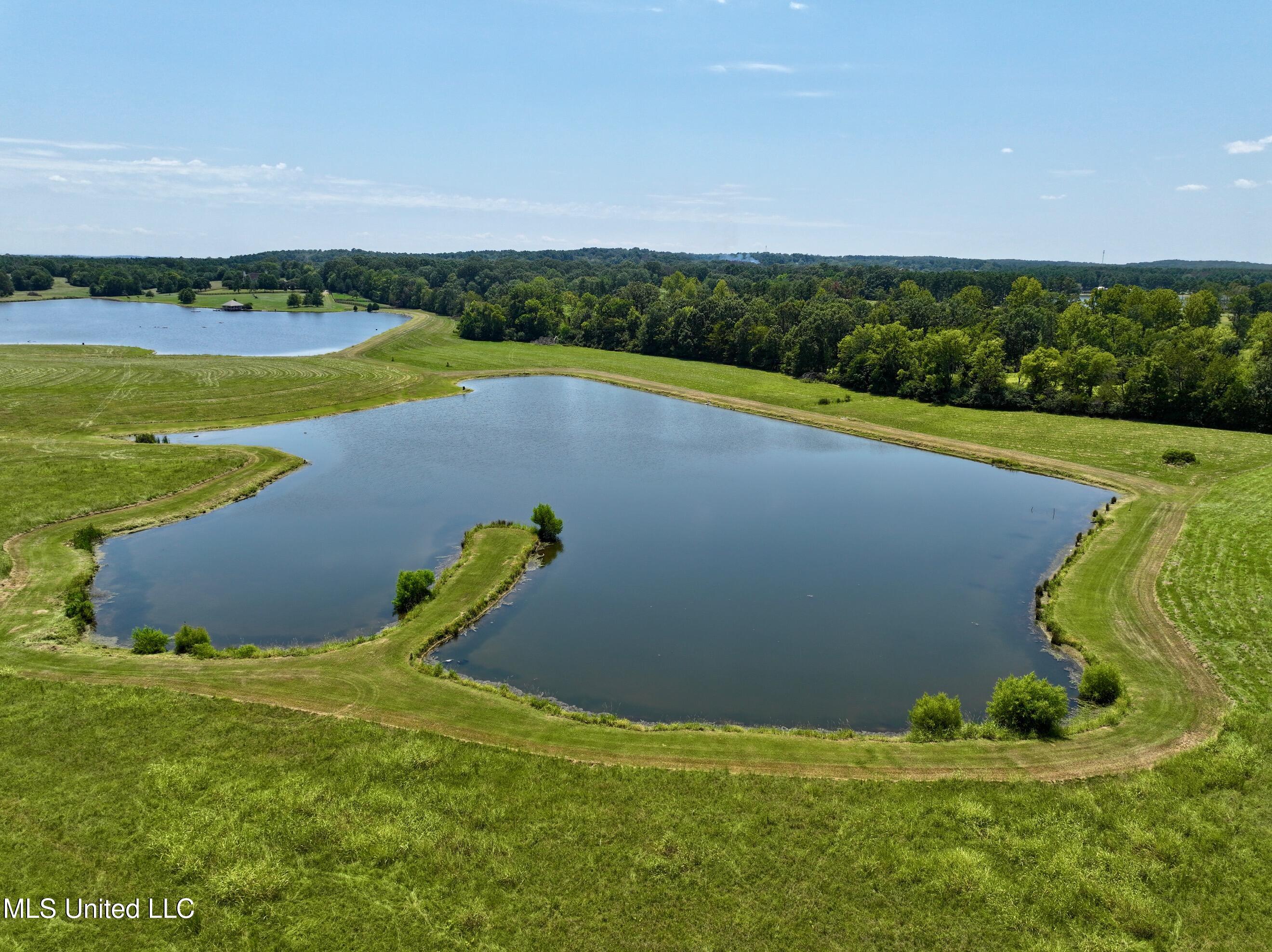 Cedar Hill Road Flora, MS 39071 - Photo 4 of 17 dji_fly_20240812_171726_0004_17234952542