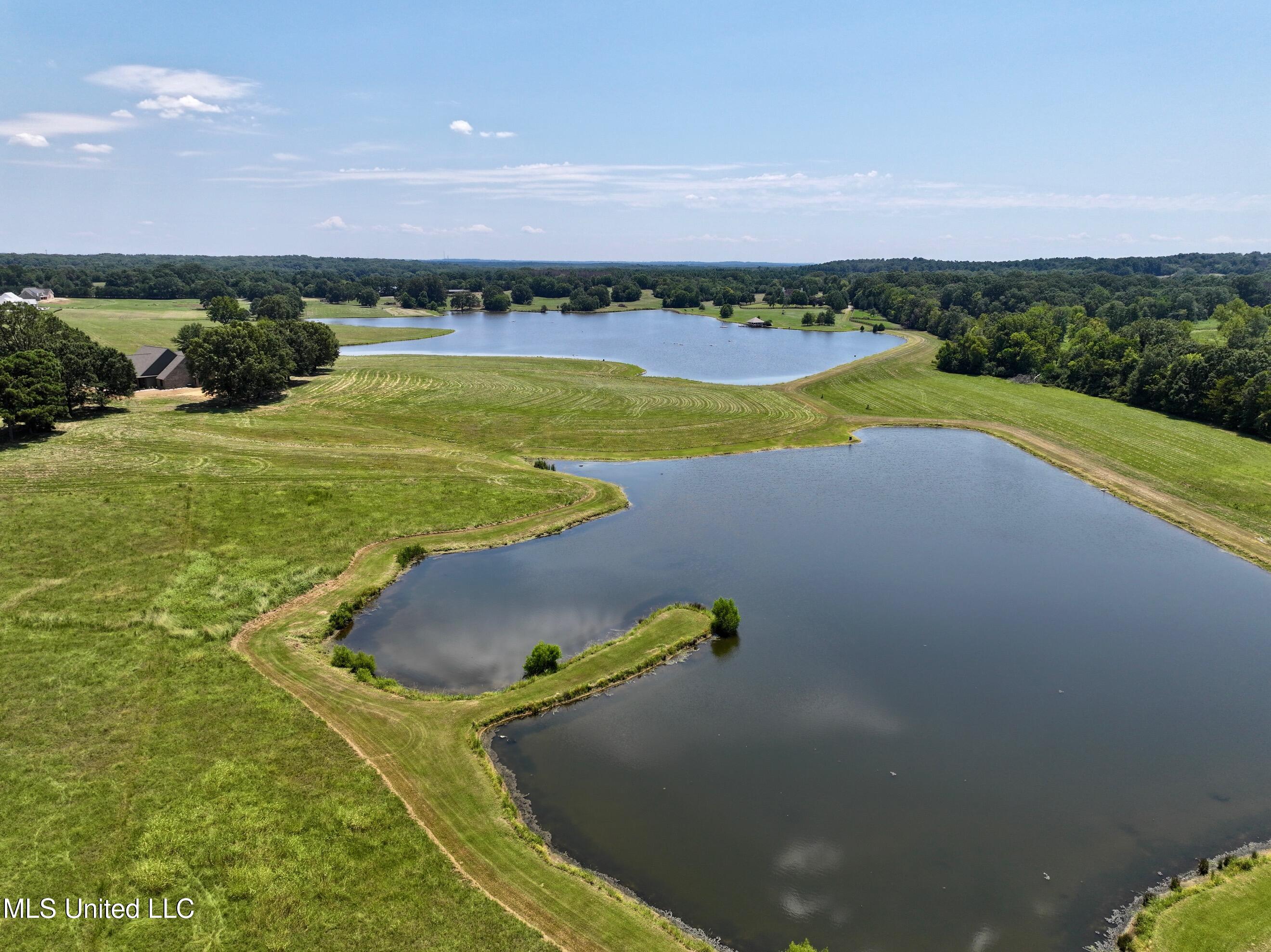 Cedar Hill Road Flora, MS 39071 - Photo 5 of 17 dji_fly_20240812_171740_0005_17234952520