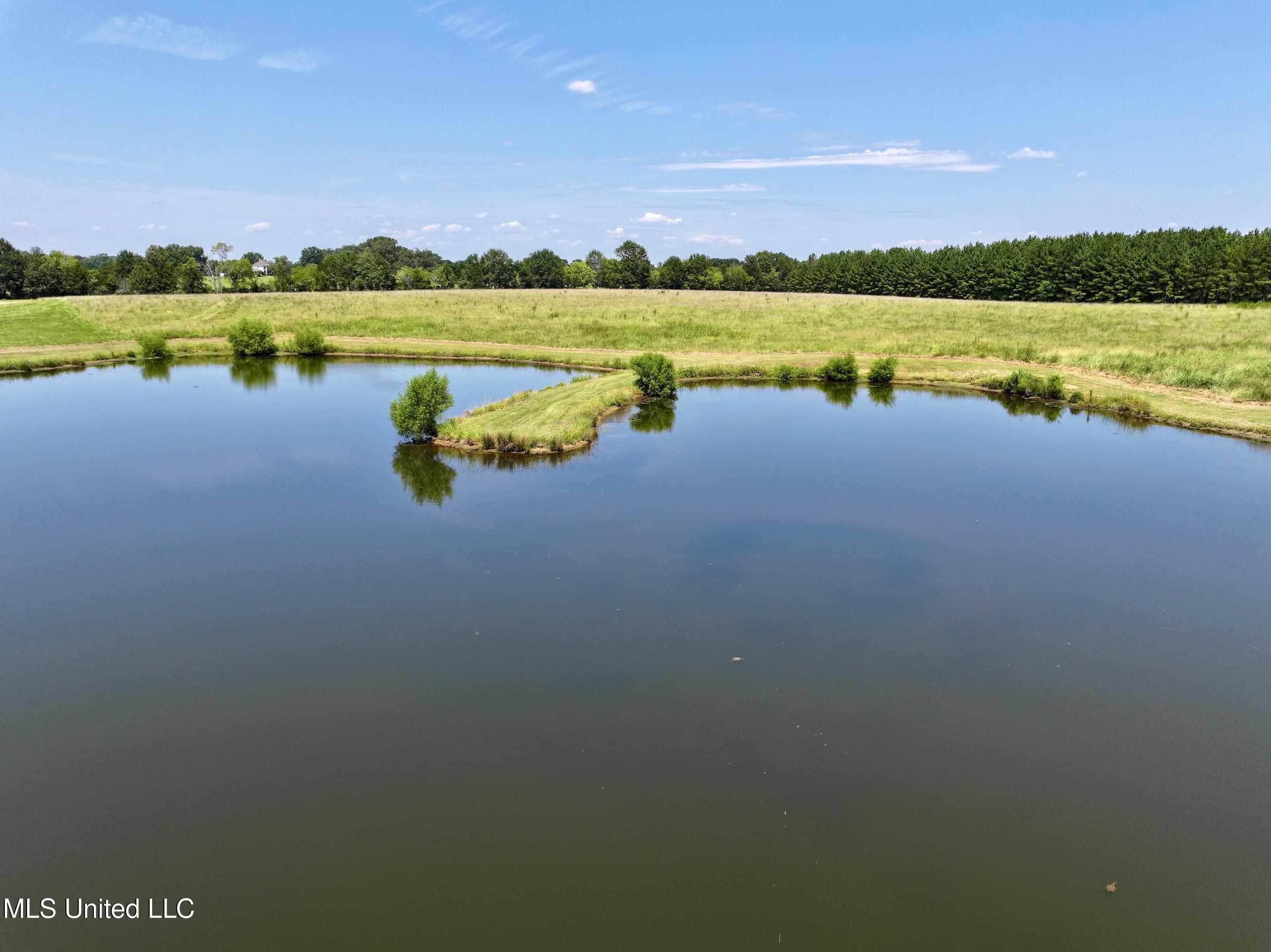 Cedar Hill Road Flora, MS 39071 - Photo 10 of 17 dji_fly_20240812_172100_0011_17234952312