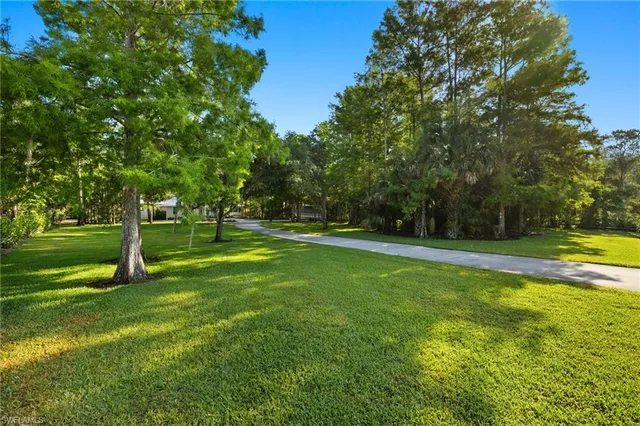 a view of yard with tree s