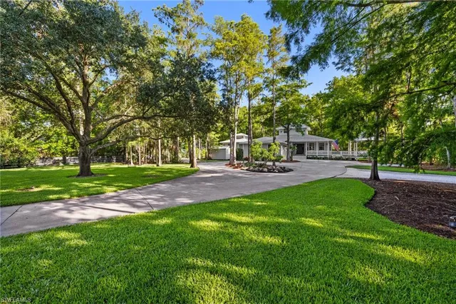 a view of a park with tree s
