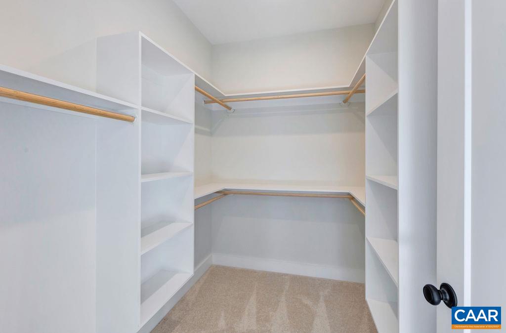 97 Daddy Rabbit Court Ruckersville, VA 22968 - Photo 35 of 48 a view of an empty walk in closet