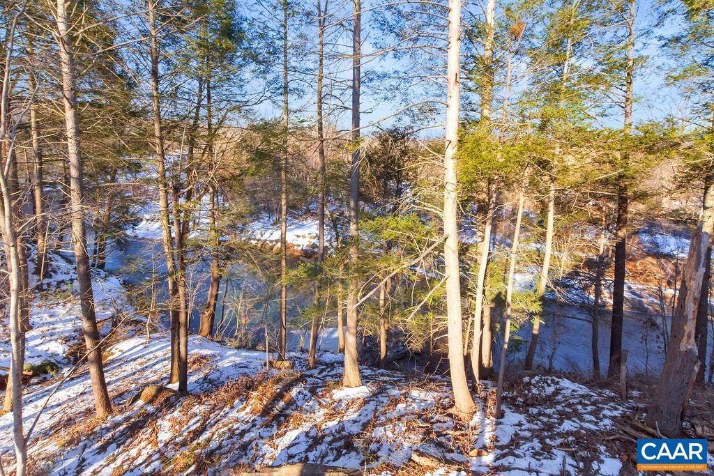 97 Daddy Rabbit Court Ruckersville, VA 22968 - Photo 42 of 48 a view of a pathway with a yard