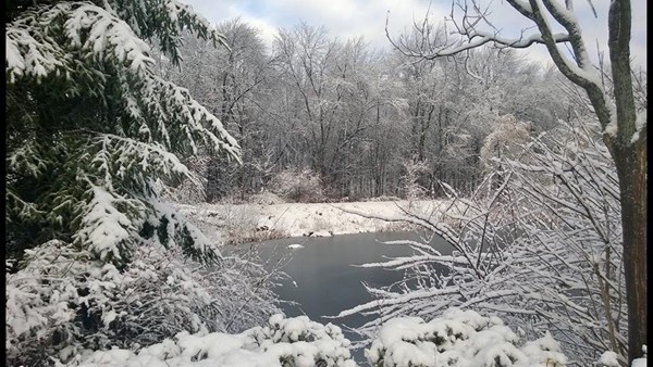 69 Spencer Road, Unit 34J Boxborough, MA 01719 - Photo 20 of 22