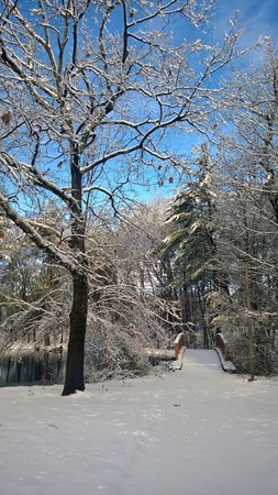 69 Spencer Road, Unit 34J Boxborough, MA 01719 - Photo 21 of 22