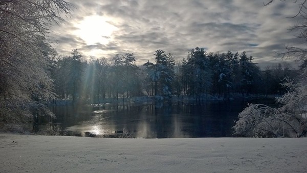 69 Spencer Road, Unit 34J Boxborough, MA 01719 - Photo 22 of 22