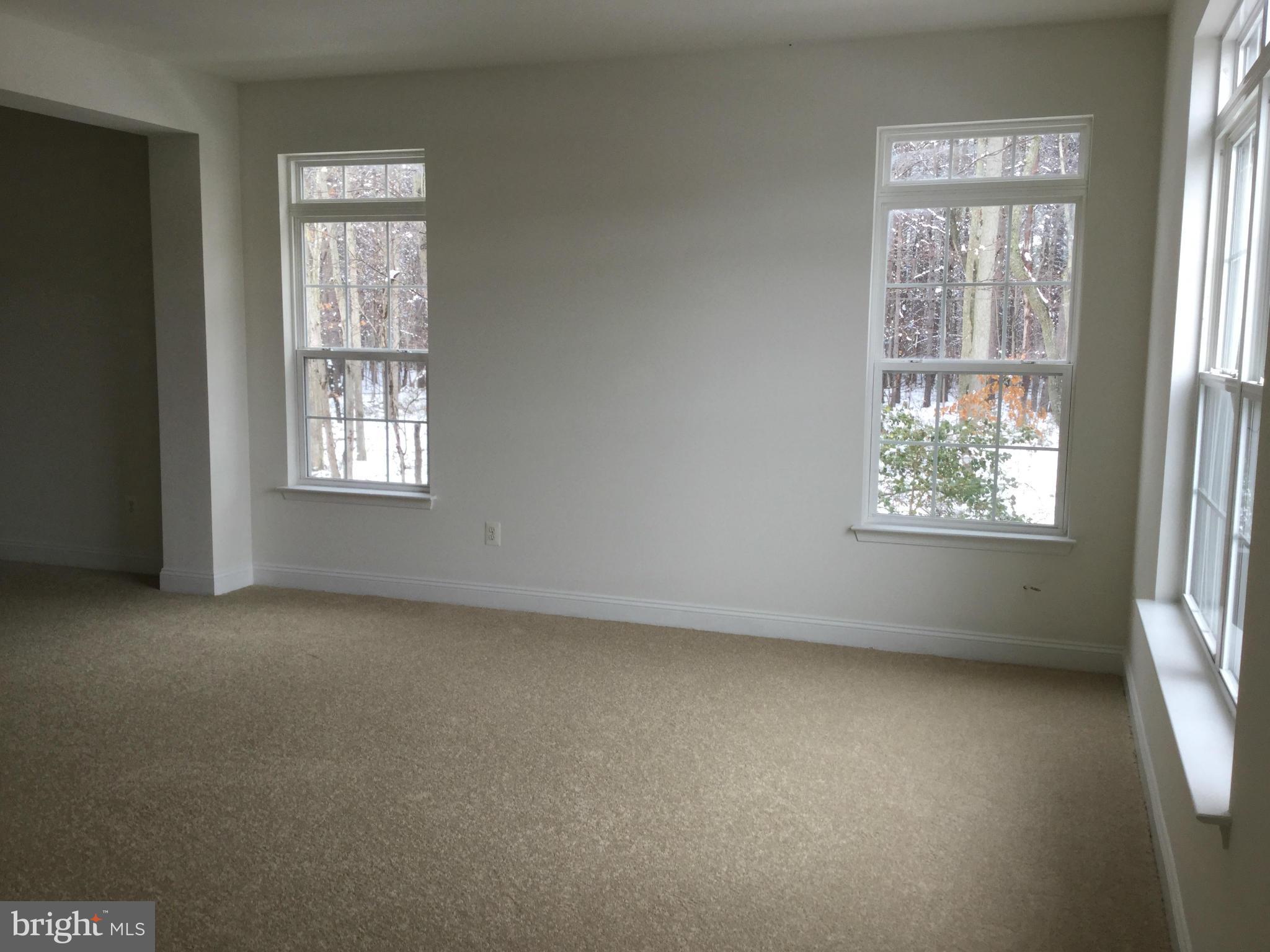 410 Ruddy Duck Court Cambridge, MD 21613 - Photo 7 of 20 Living room next to woods