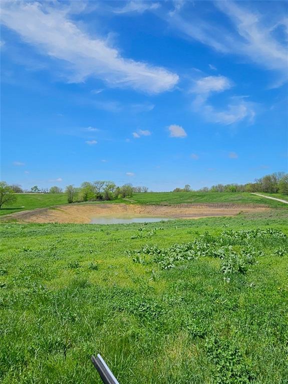 2 Nation Road Holt, MO 64048 - Photo 12 of 13