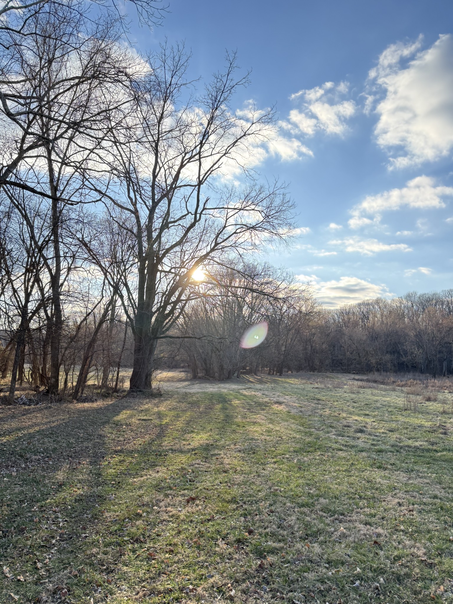 1728 Riverhaven Drive Adams, TN 37010 - Photo 68 of 75