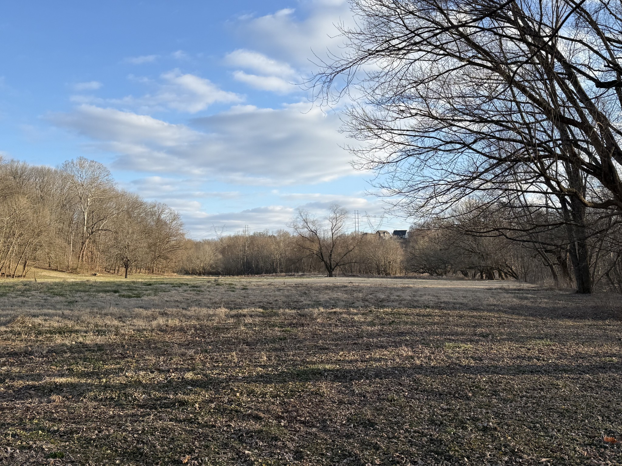 1728 Riverhaven Drive Adams, TN 37010 - Photo 73 of 75 a view of dirt field with large trees