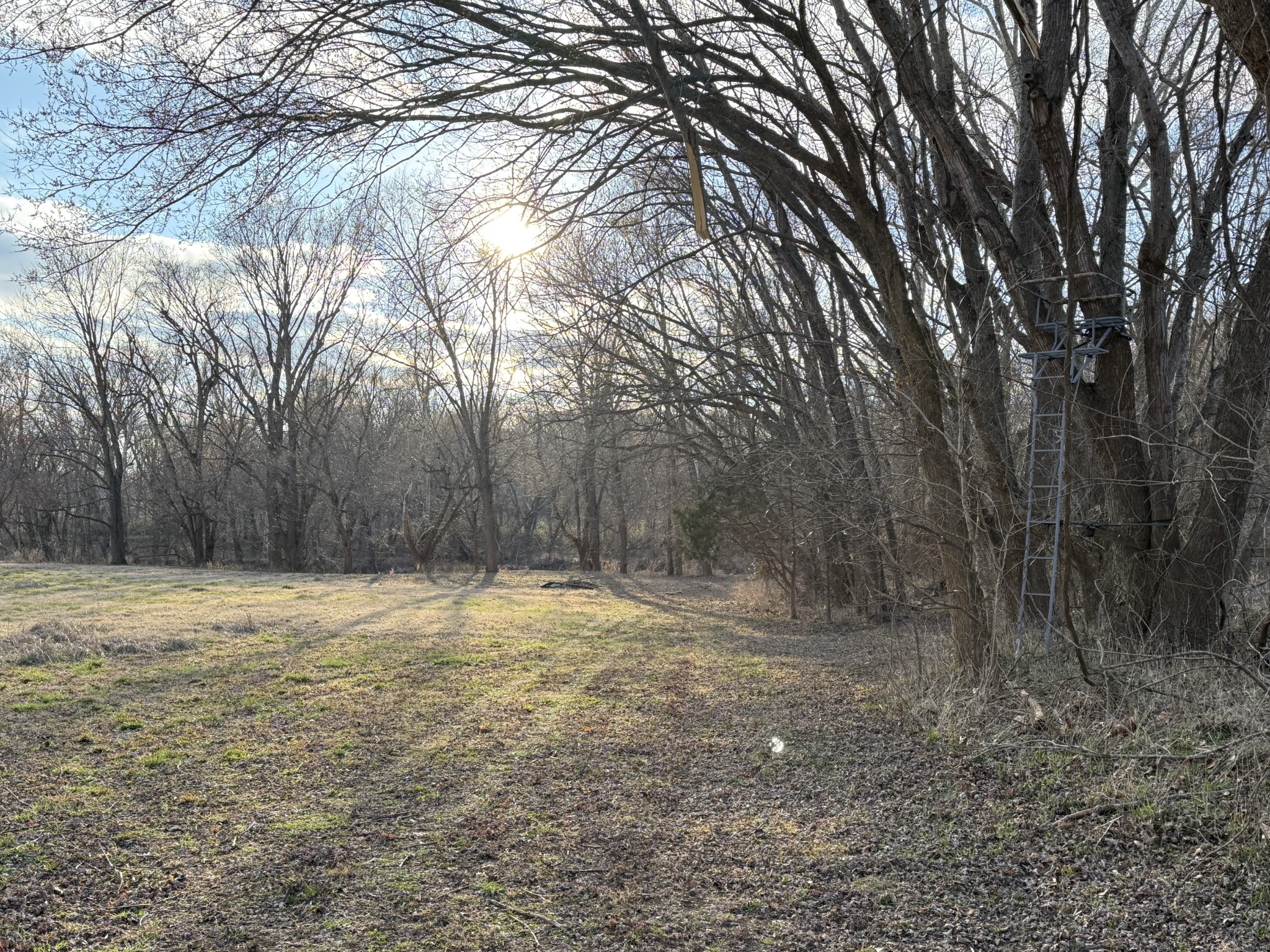 1728 Riverhaven Drive Adams, TN 37010 - Photo 74 of 75 a view of empty space with large trees