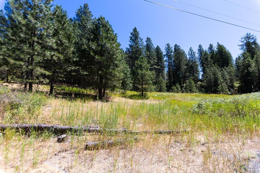 4175 East Rambling Rose Lane Valleyford, WA 99036 - Photo 11 of 18