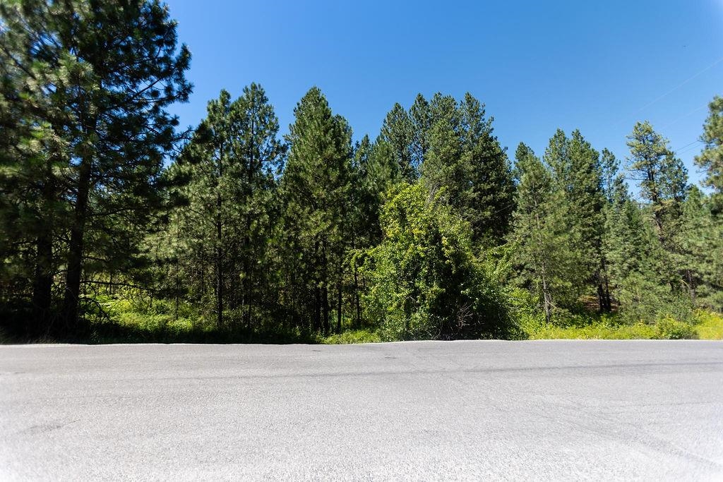 4175 East Rambling Rose Lane Valleyford, WA 99036 - Photo 12 of 18