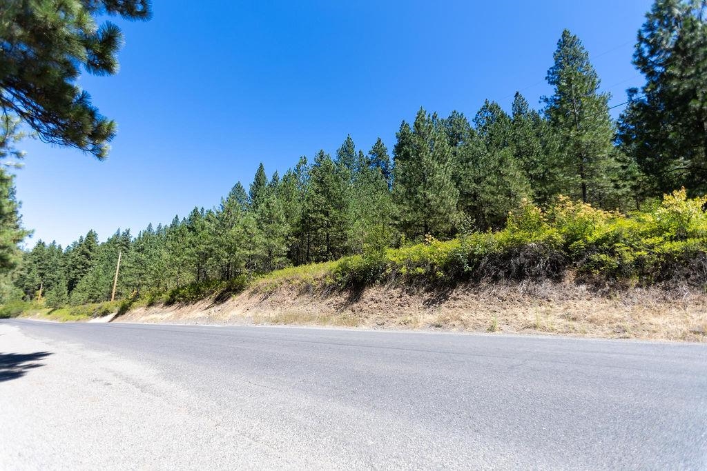 4175 East Rambling Rose Lane Valleyford, WA 99036 - Photo 13 of 18