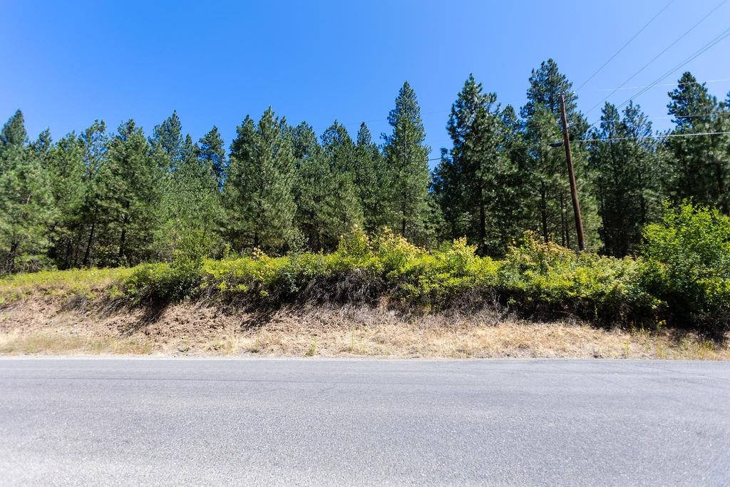 4175 East Rambling Rose Lane Valleyford, WA 99036 - Photo 14 of 18