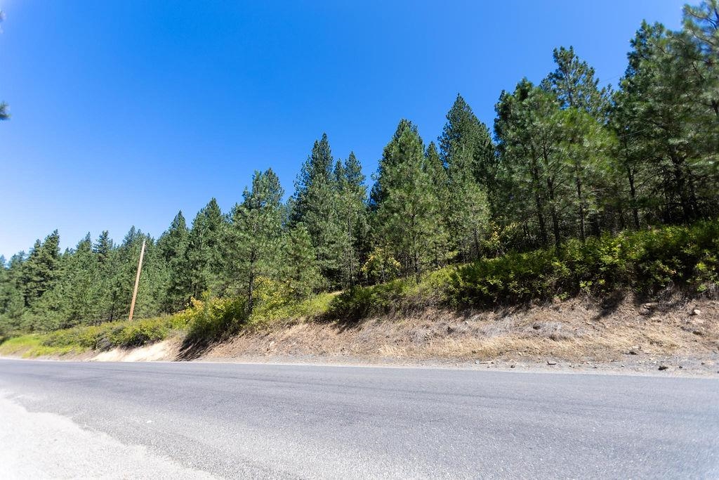 4175 East Rambling Rose Lane Valleyford, WA 99036 - Photo 15 of 18