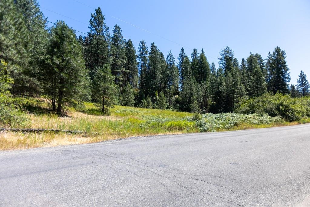 4175 East Rambling Rose Lane Valleyford, WA 99036 - Photo 16 of 18