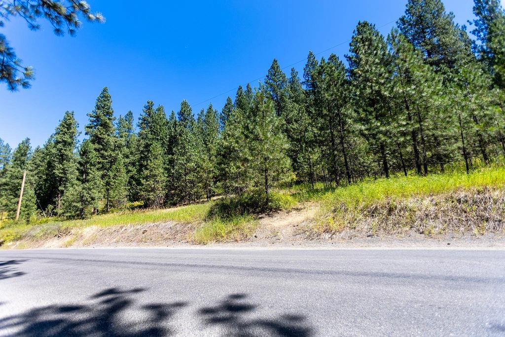 4175 East Rambling Rose Lane Valleyford, WA 99036 - Photo 17 of 18