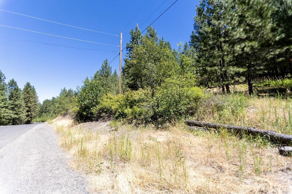 4175 East Rambling Rose Lane Valleyford, WA 99036 - Photo 18 of 18