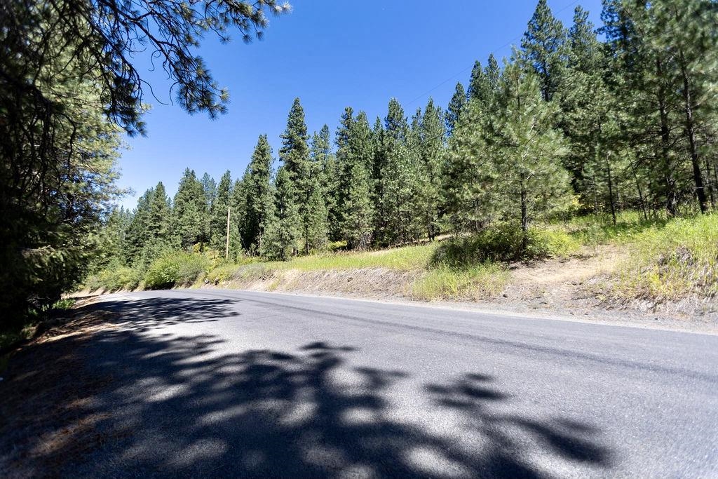 4175 East Rambling Rose Lane Valleyford, WA 99036 - Photo 2 of 18