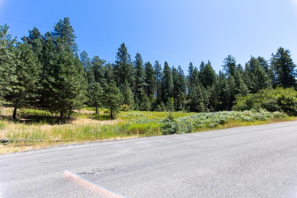 4175 East Rambling Rose Lane Valleyford, WA 99036 - Photo 3 of 18