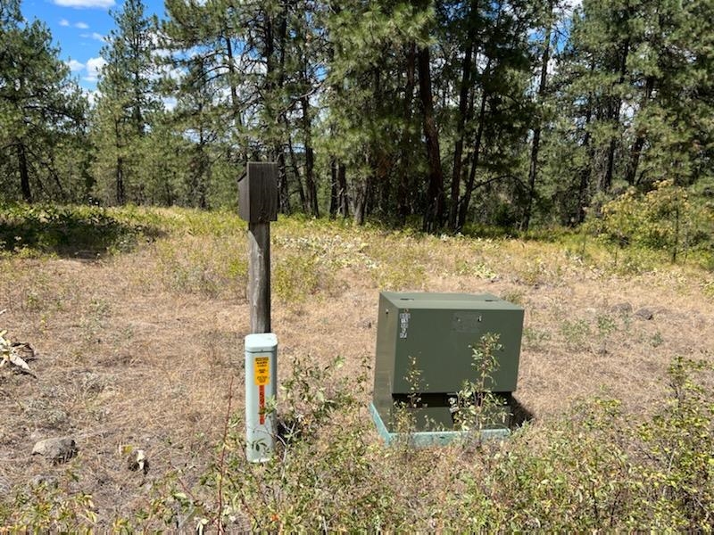 4175 East Rambling Rose Lane Valleyford, WA 99036 - Photo 4 of 18