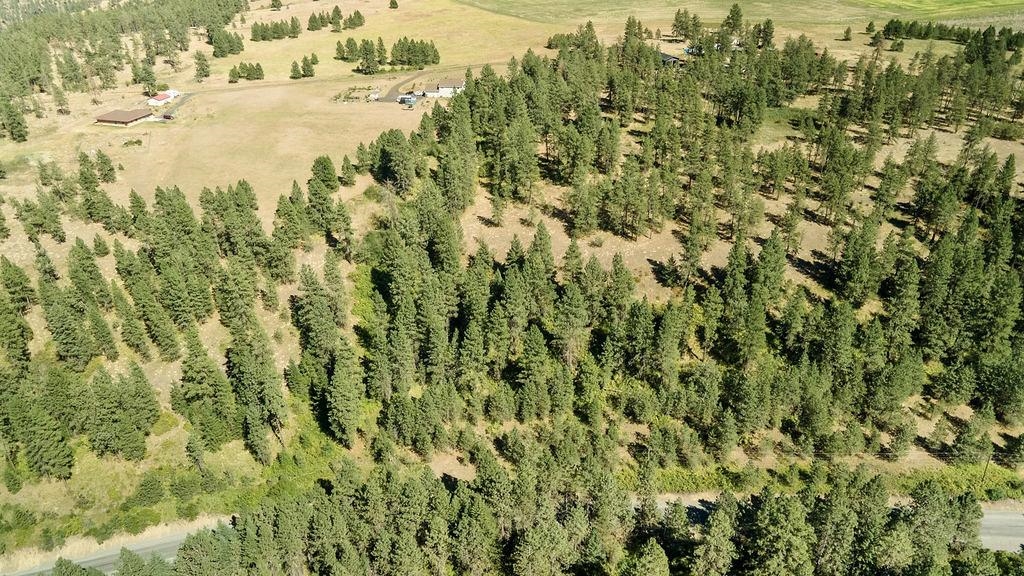 4175 East Rambling Rose Lane Valleyford, WA 99036 - Photo 5 of 18