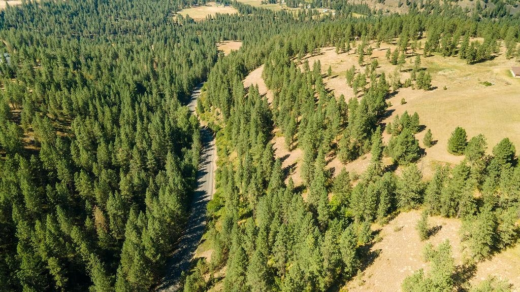 4175 East Rambling Rose Lane Valleyford, WA 99036 - Photo 6 of 18