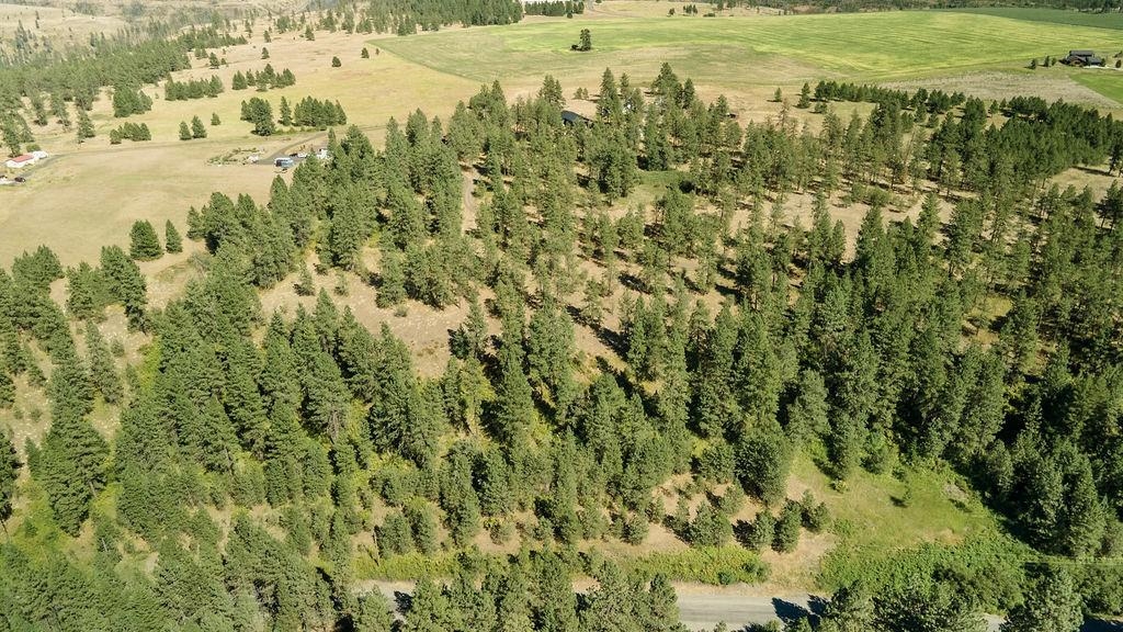 4175 East Rambling Rose Lane Valleyford, WA 99036 - Photo 7 of 18