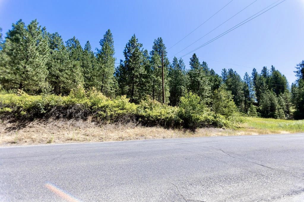 4175 East Rambling Rose Lane Valleyford, WA 99036 - Photo 8 of 18