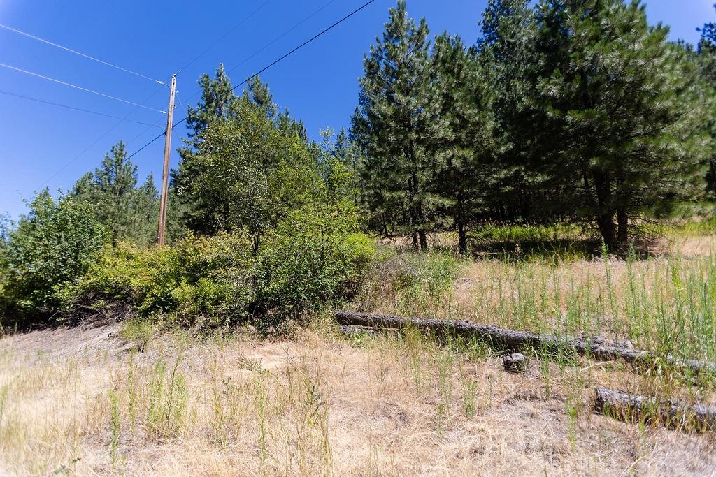 4175 East Rambling Rose Lane Valleyford, WA 99036 - Photo 9 of 18