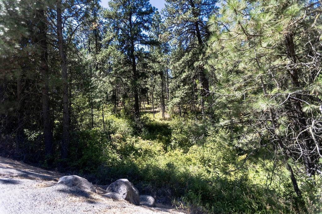 4175 East Rambling Rose Lane Valleyford, WA 99036 - Photo 10 of 18