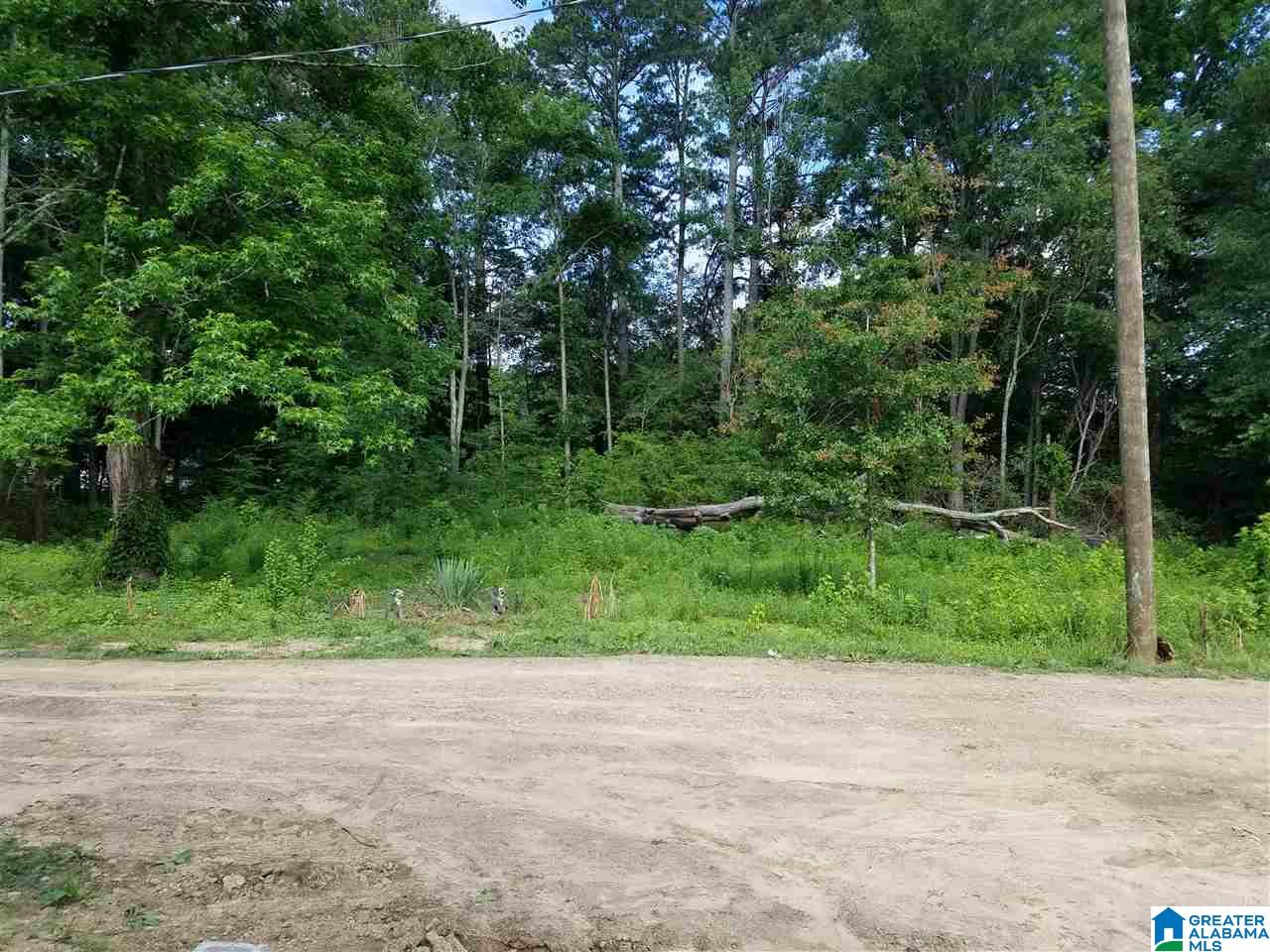 5200 Highway 57 Oneonta Al Vincent, AL 35178 - Photo 17 of 17