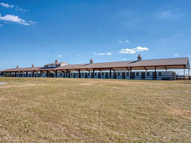 a view of a backyard of the house