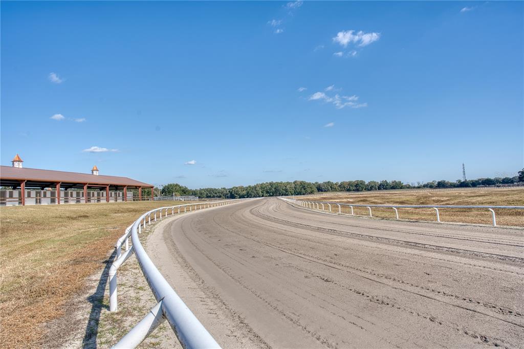 1345 Northeast 155th Place Citra, FL 32113 - Photo 35 of 82 a view of a terrace