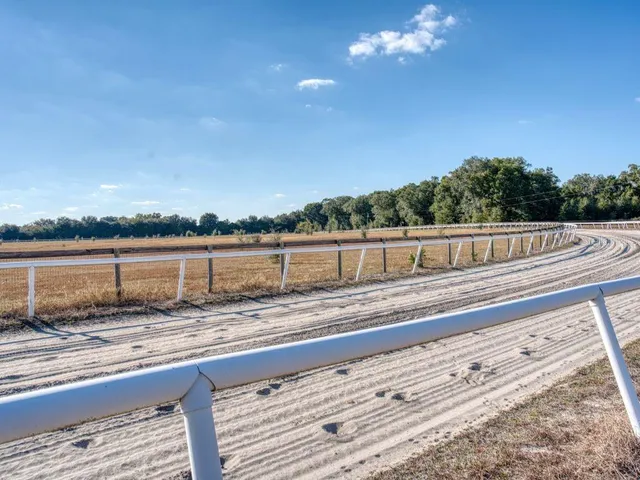 a view of wooden door