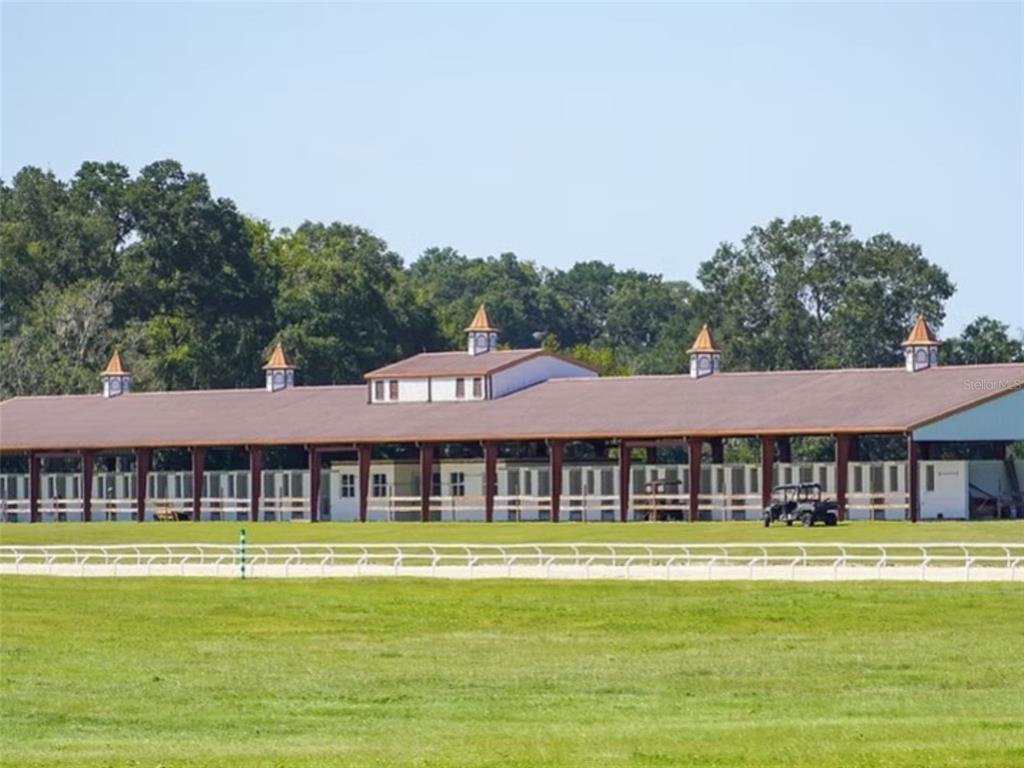 1345 Northeast 155th Place Citra, FL 32113 - Photo 80 of 82