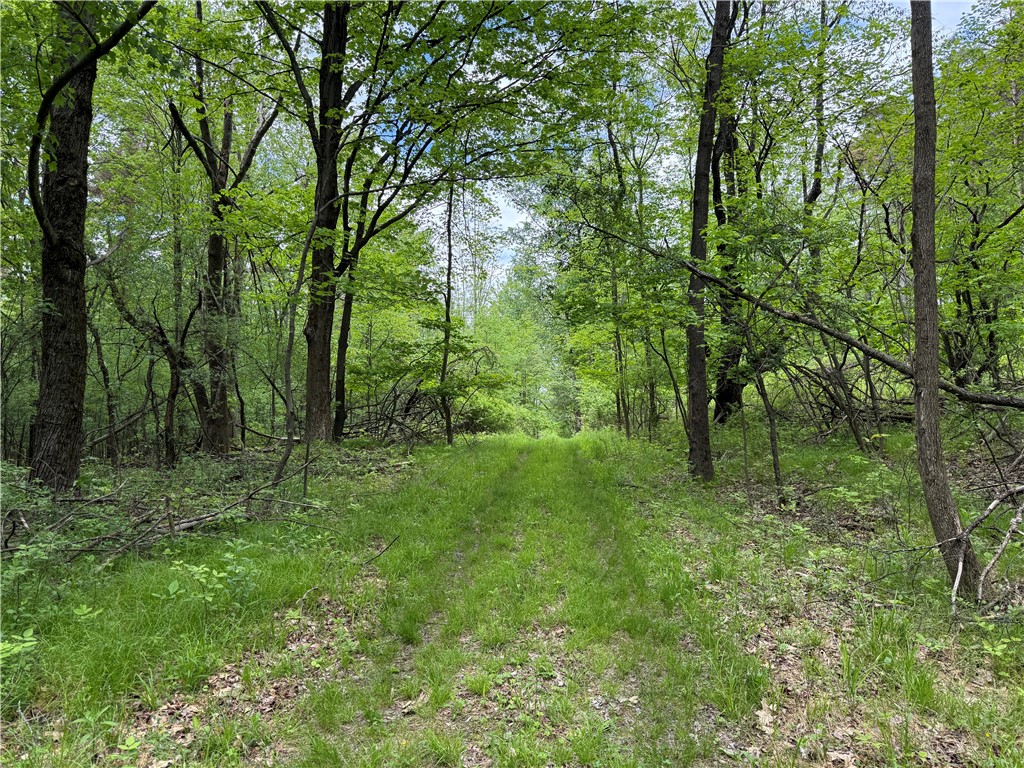 Hawley Road Bradford, NY 14815 - Photo 21 of 42