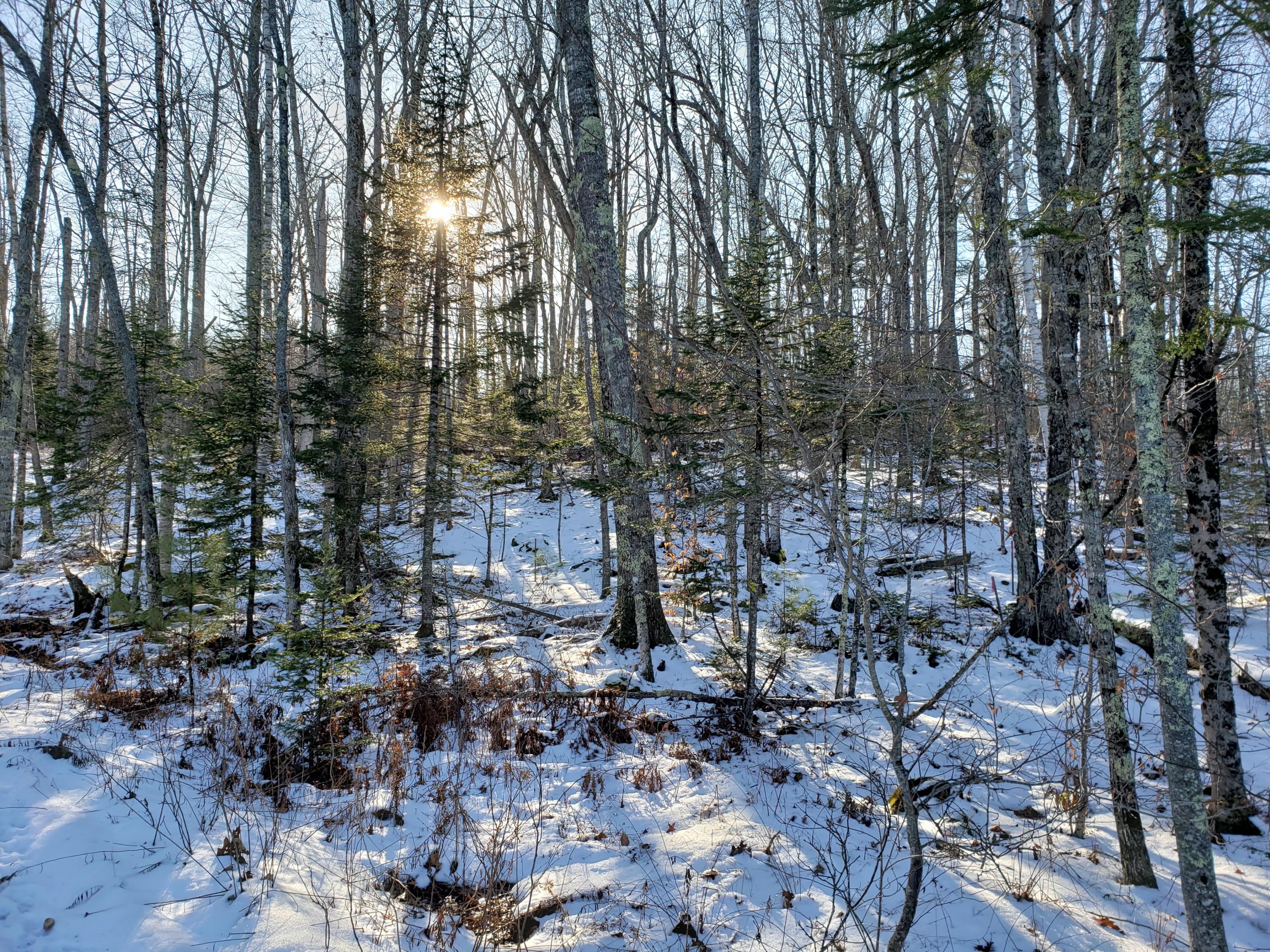 0 Woods Road Belfast, ME 04915 - Photo 10 of 10 20191224_125822