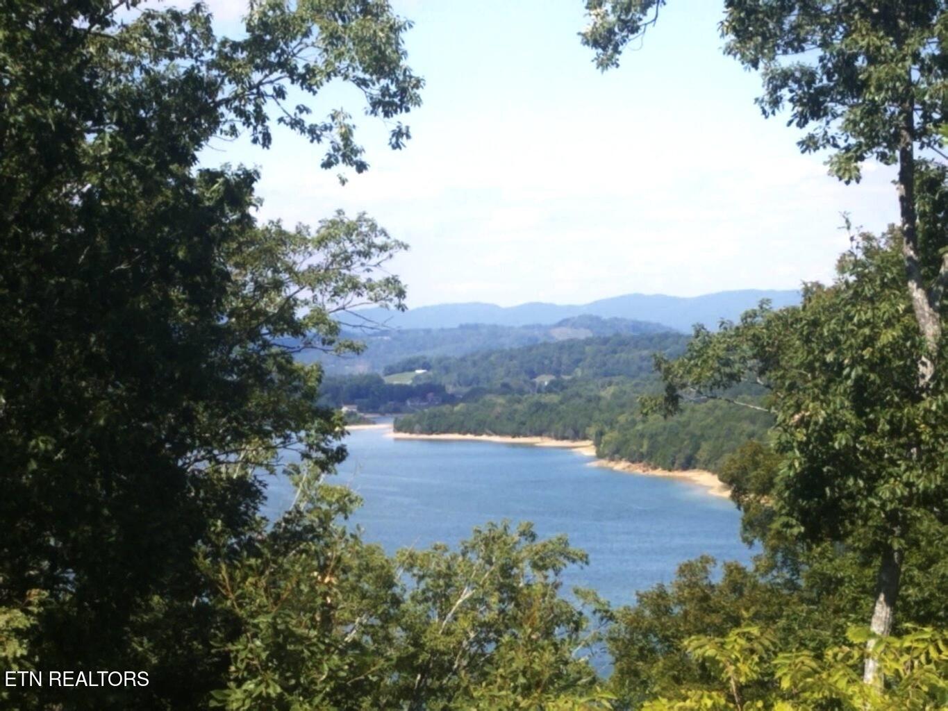 2021 Turner Landing Road Russellville, TN 37860 - Photo 3 of 6 IMG_4450