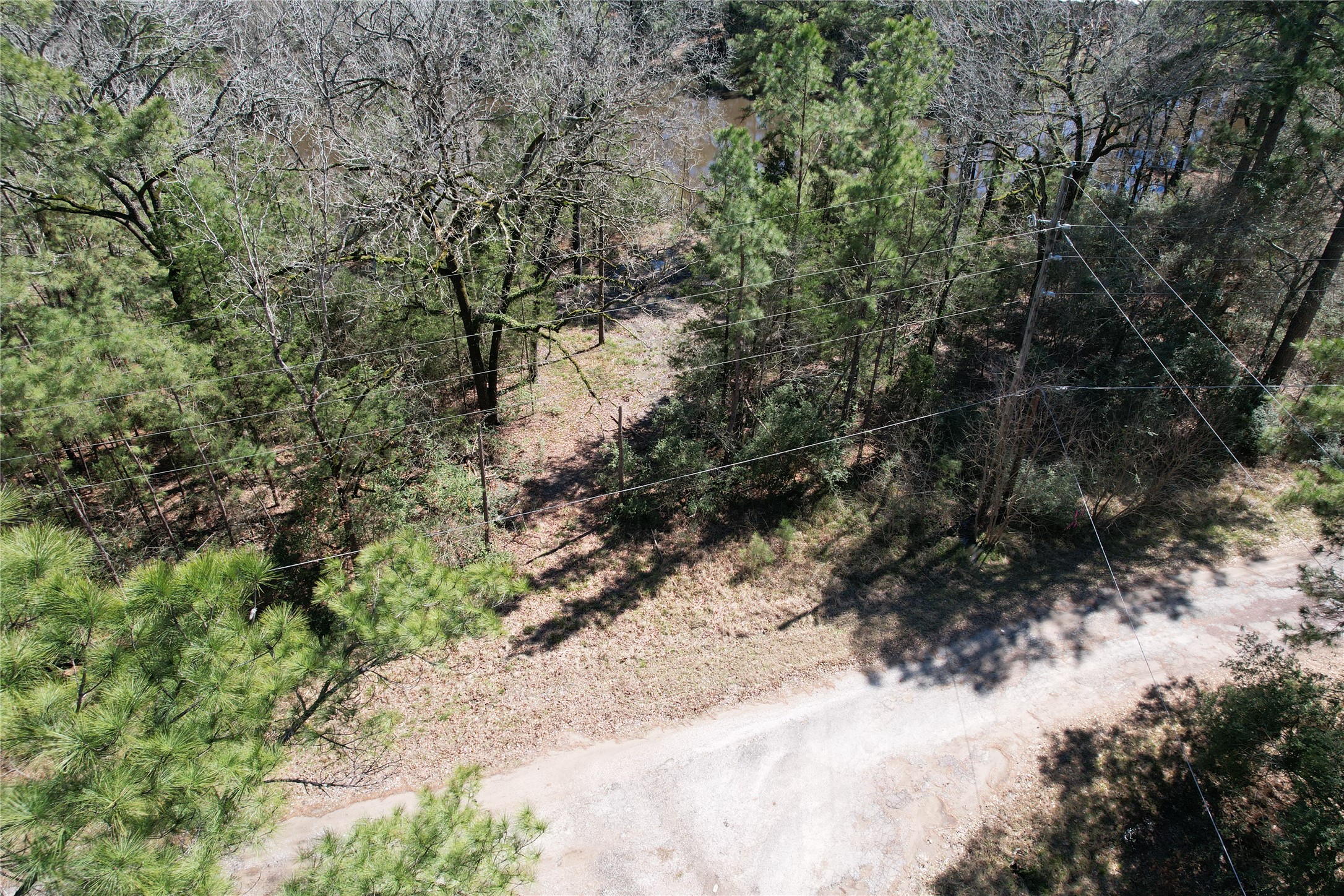 Lot 66 Hidden Lane Trinity, TX 75862 - Photo 18 of 20 Clear path cut down to water.