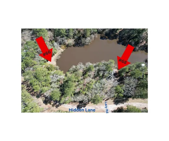 $15,996 | Lot 66 Hidden Lane, Trinity, TX 75862
