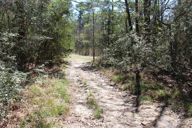 $15,996 | Lot 66 Hidden Lane, Trinity, TX 75862