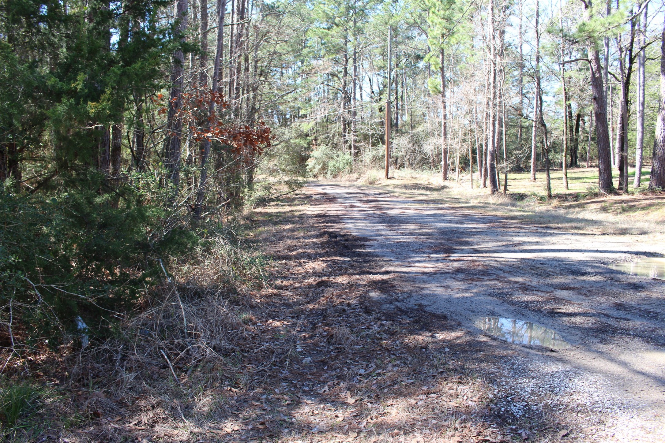 Lot 66 Hidden Lane Trinity, TX 75862 - Photo 5 of 20 Road Frontage on Hidden Lane.