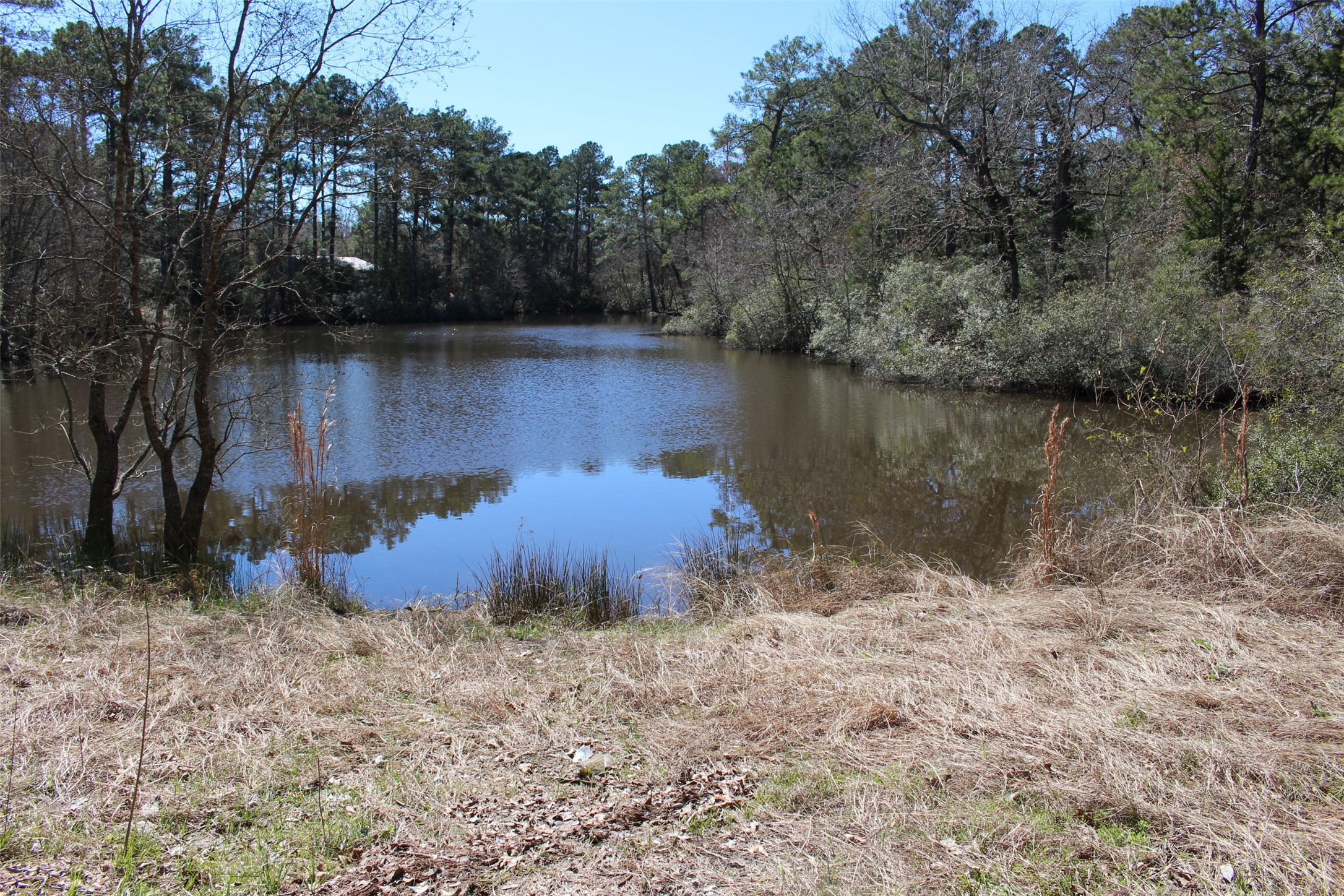 Lot 66 Hidden Lane Trinity, TX 75862 - Photo 7 of 20 View of water form Lot